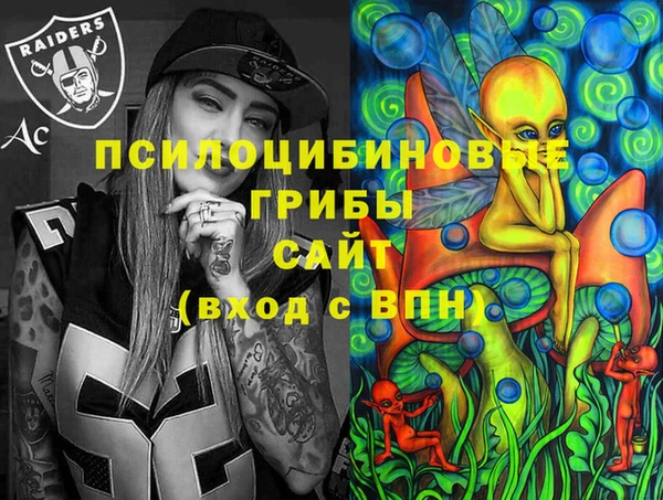 соль ск Алексеевка
