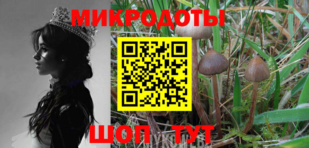 Галлюциногенные грибы MAGIC MUSHROOMS Ревда