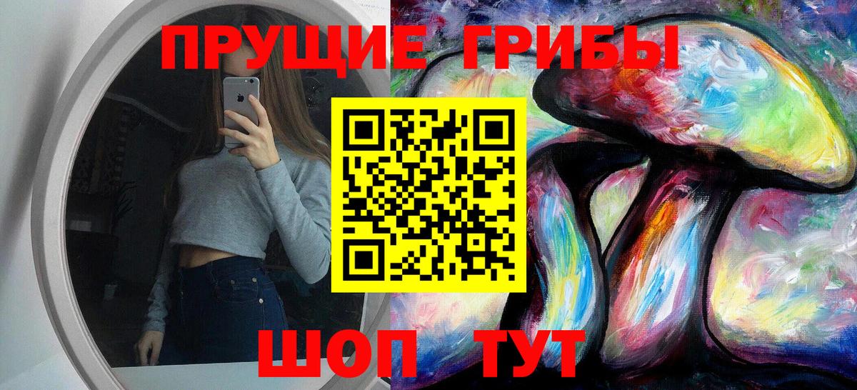 Ревда  Псилоцибиновые грибы ЛСД  Псилоцибиновые грибы Psilocybe  Вход с VPN 